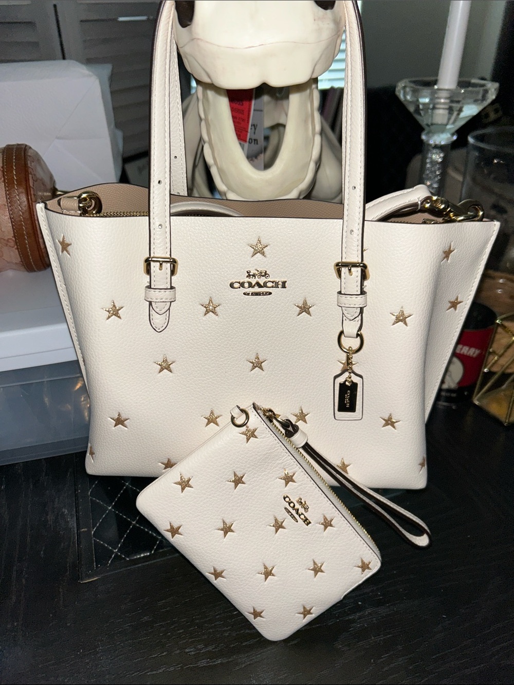 Coach MOLLIE TOTE BAG 25 WITH STAR PRINT